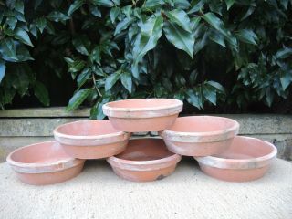 6 Old Vintage Terracotta Plant Pot Saucers Shallow Pots 6 " Diameter (300o)