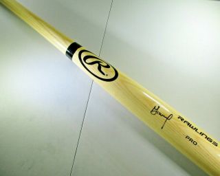 Jose Altuve / Houston Astros / Autographed Full Size Blonde Baseball Bat /
