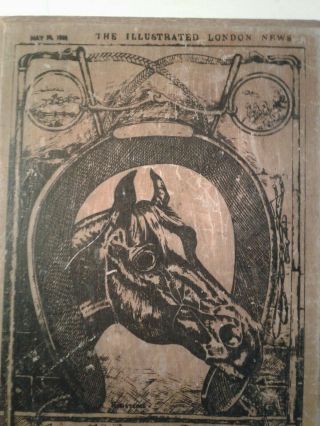 Horse Wooden Plaque Vintage Advertisement Veterinary Equine ' St Jacob ' s Oil ' 3
