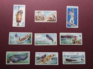Whaling Issued 1927 By Ogdens Set 25