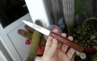 1 - Vintage Sabatier Style Calmels A Laguiole Paring Knife 4 " (100 Mm)