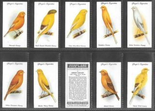 Player 1933 Interesting (birds) Full 50 Card Set  Aviary & Cage Birds