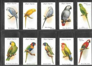 PLAYER 1933 INTERESTING (BIRDS) FULL 50 CARD SET  AVIARY & CAGE BIRDS 2