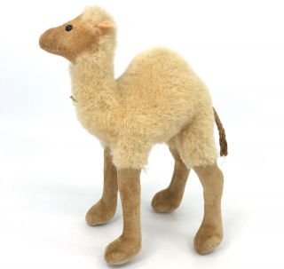 Steiff Dromedary Camel Wool Plush 14cm 5.  5in No Id Nativity Putz 1960s Vintage
