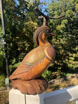 Rare - Antique - Cast Iron - Figural Wood Duck - Lawn Sprinkler