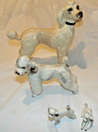 4 Vintage White &cream Pottery Poodle Dog Figurines - Pristine - Gorgeous Vgc