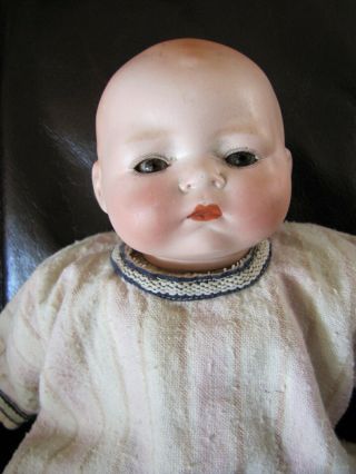 Antique German Century Bisque Head Baby Doll W/ Cloth Body - 11 " Tall
