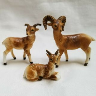 Set Of 3 Vintage Big Horn Sheep Family Miniature Bone China Figurines