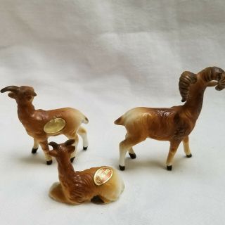Set of 3 Vintage Big Horn Sheep Family Miniature Bone China Figurines 2