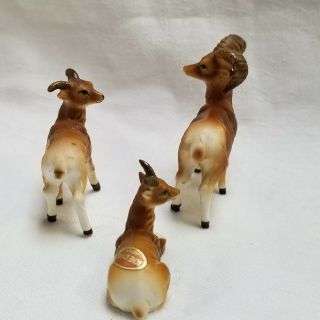 Set of 3 Vintage Big Horn Sheep Family Miniature Bone China Figurines 3