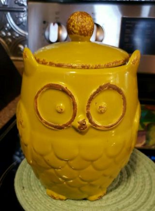 Vintage Ceramic Green Owl Cookie Jar / Canister