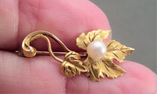 Vtg Art Nouveau Dainty 10k Gold Flower Brooch With Pearl Center - Estate Find