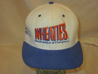 Vintage Dale Earnhardt Sr 3 Wheaties Goodwrench Service Racing Snapback Hat