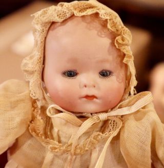 Antique 9 " C1910 German Bisque Am Dream Baby Character Baby Dome Head Doll