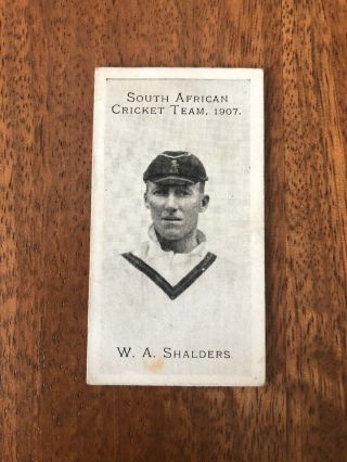 V.  Rare Taddy South African Cricket Team Cigarette Card 1907 W Shalders Cat £70