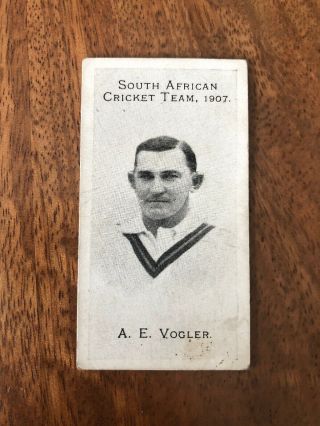 V.  Rare Taddy South African Cricket Team Cigarette Card 1907 A Vogler Cat £70