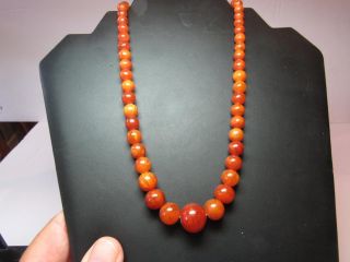 Antique Baltic Amber Necklace Egg Yolk/butterscotch Graduated Beads - 21.  2 Grams