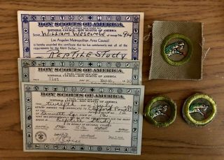 Vintage Boy Scout Reptile Study Merit Badges And Cards