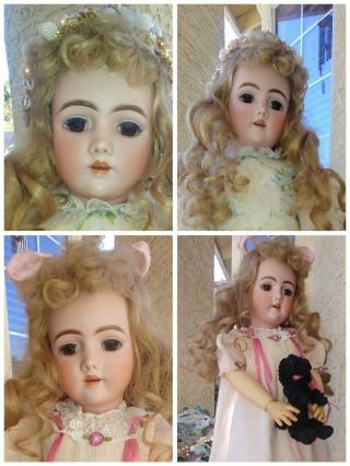 Antique Handwerck Rare Mold 99 Dep German Bisque Head Doll 2 Outfits & Stand