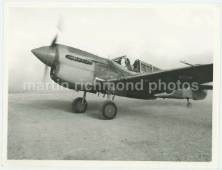 Raf Curtiss P - 40 Kittyhawk Large Iwm Photo,  Bz635