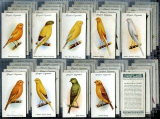 Tobacco Card Set,  John Player,  Aviary & Cage Bird,  Parrot,  Canary Etc,  1933