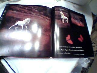 Unicorn of Kilimanjaro Robert Vavra vintage photography book SIGNED 1st EDITION 3