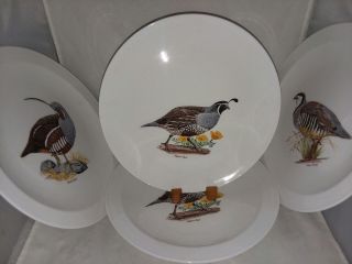 4 Usa Corning Game Bird Plates Chukar Partridge And California Quail Vintage Wht