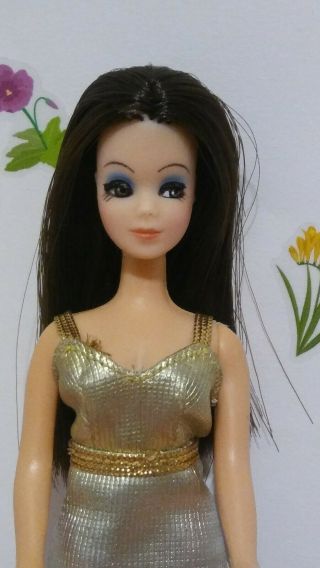 Vintage Topper Dawn/pippa Doll " Sweet Angie " Dark Haired Beauty.  