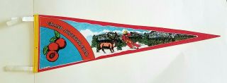 Vintage Grand Junction Colorado Pennant Ski Skiing Mountain 26.  5 Inches