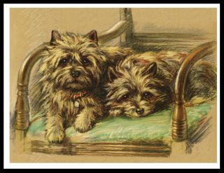 Cairn Terrier Two Dogs On A Chair Lovely Vintage Style Dog Print Poster