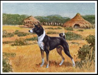 Basenji In African Scene Great Vintage Style Dog Print Art Poster