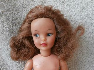 Vintage Ideal Tammy Pos N Pepper Doll Light Brown Hair
