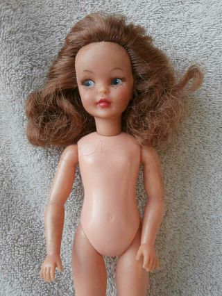 Vintage Ideal Tammy POS N PEPPER Doll Light Brown Hair 3