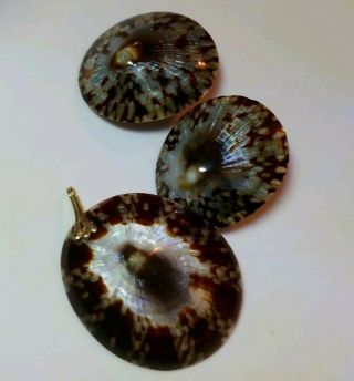 Vtg Gerda Lynggaard Monies Earrings Pendant Set Spotted Domed Shell