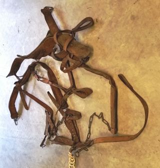 Belgium Draft Horse Leather Harness Vintage Tack/gear