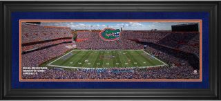 Florida Gators Framed 10 " X 30 " Ben Hill Griffin Stadium Panoramic Photograph