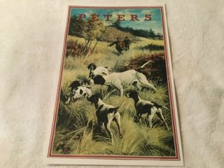 Hunting Advertising Peters Ammo Poster