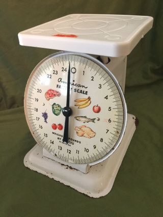 Vintage American Family Scale 25lb Kitchen Counter Utility Food Scale White