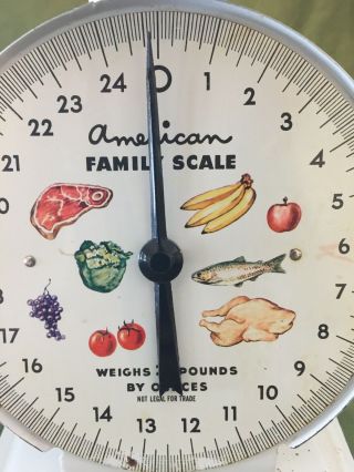 Vintage American Family Scale 25lb Kitchen Counter Utility Food Scale White 2