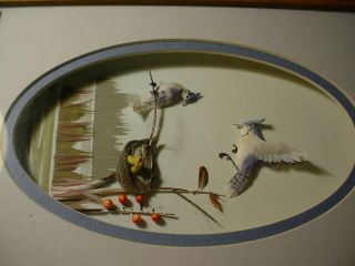 Vintage 3D feather art shadow box blue jay birds on nest CAC picture collage 2