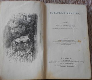 1844 Botanical Rambles Rev Johns Society Christian Antiquarian Natural History