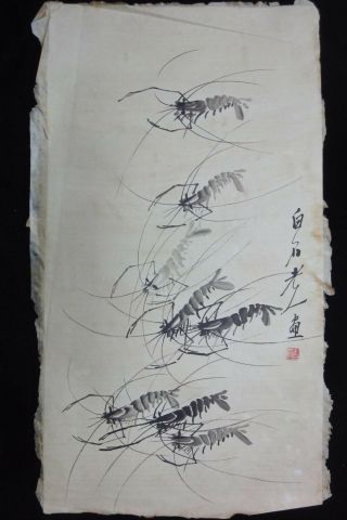 Very Fine Large Vintage Chinese Hand Painting Shrimps Marked " Qibaishi "