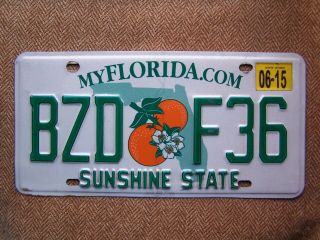2015 Florida License Plate.  115 Grams