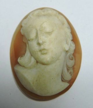 Nos Antique Hand Carved Oval Shell Cameo Stone Deco Woman Deep Detail Aa407