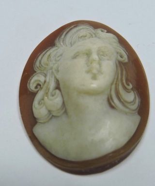 Nos Antique Hand Carved Oval Shell Cameo Stone Deco Woman Deep Detail Aa413
