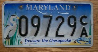 Single Maryland License Plate - 09729ca - Treasure The Chesapeake