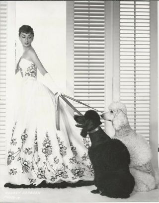 Audrey Hepburn 9 1/4 X 7 1/4 Vintage Press Still Sabrina With Poodles