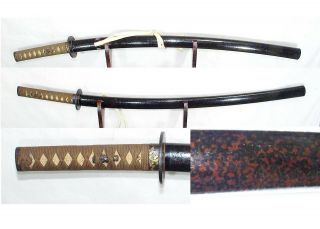大刀拵/daito Koshirae Japanese Sword Fitting Antique 梅一作/plum Tree Set