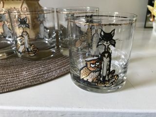 Vintage Gold Owl Black Cat Drinking Glasses Low Ball 6 Mid Cent Modern Set