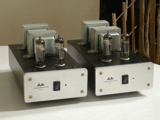 Antique Sound Lab Asl Wave Mono Blocks Amplifiers